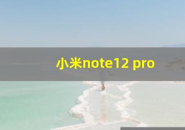 小米note12 pro